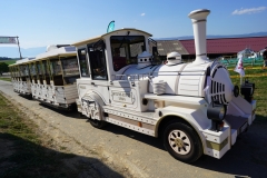 DSC09750